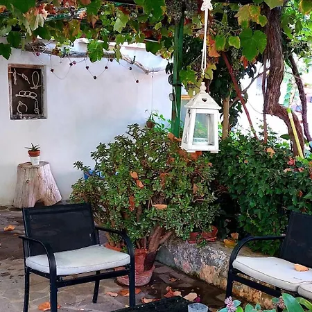 Ferienhaus 1